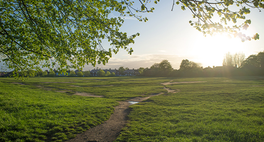 terrain-diffus-maison-neuve-budget budget terrain diffus constructeur vosges